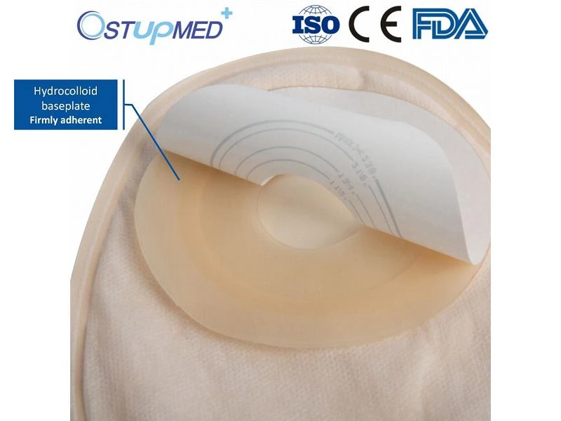 product-800-600 product-800-600